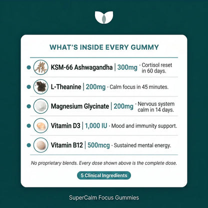 Calm+Focus Gummies